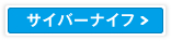 サイバーナイフ